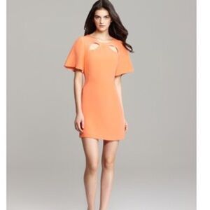 Rebecca Minkoff cutout dress